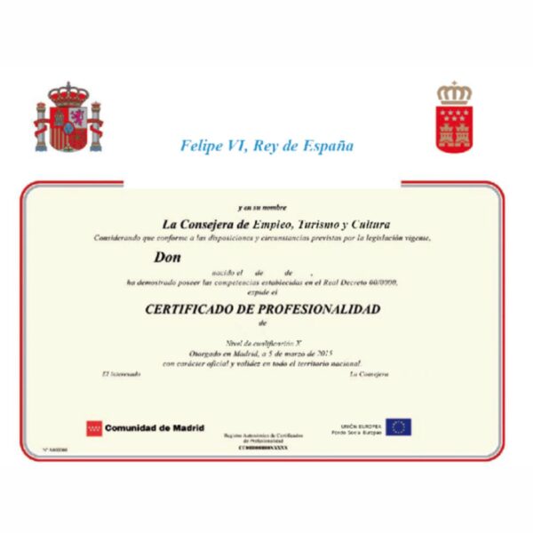 Asesoramiento en competencias profesionales